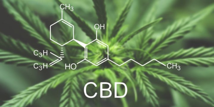 CBD Round-Up: 9 Things You Should Know About This Plant Remedy