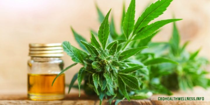 Itchy, Irritated, Inflamed Skin? CBD to the Rescue!